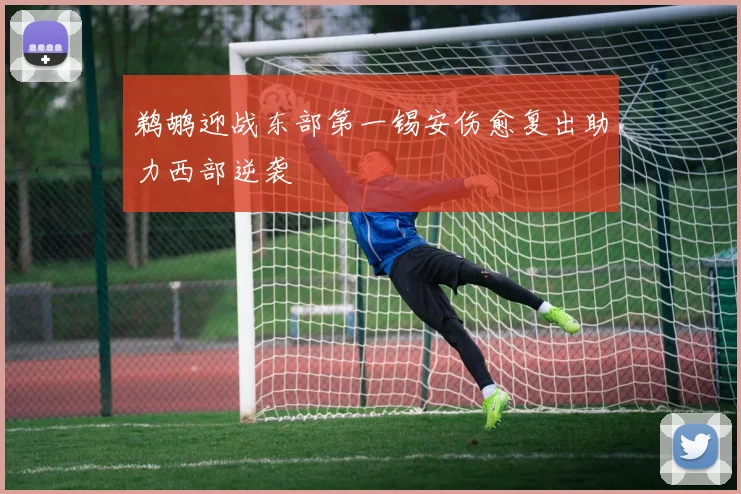 鹈鹕迎战东部第一锡安伤愈复出助力西部逆袭