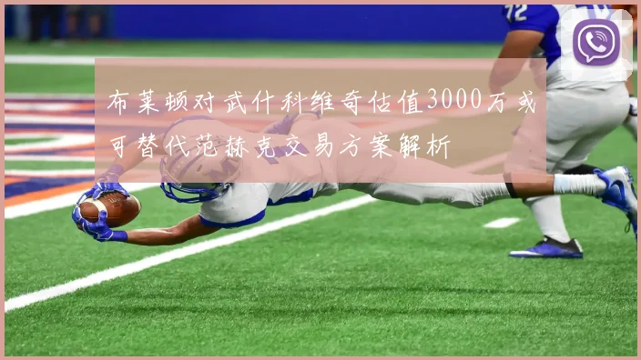 布莱顿对武什科维奇估值3000万或可替代范赫克交易方案解析
